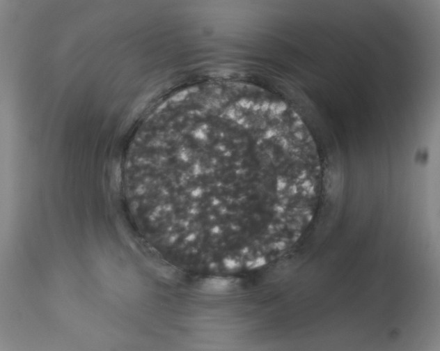 X0000113060375200910091149