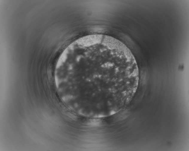 X0000113060377200910091149