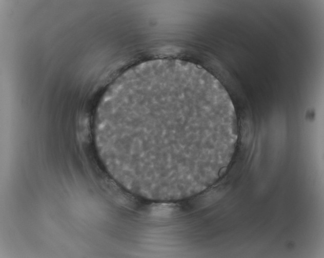 X0000113060378200910091149
