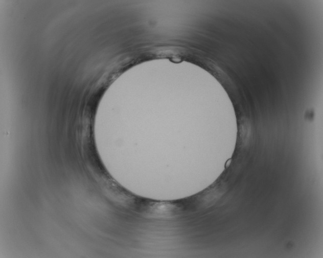 X0000113060379200910091149