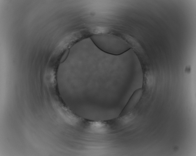 X0000113060380200910091149