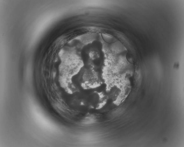 X0000113060381200910091149