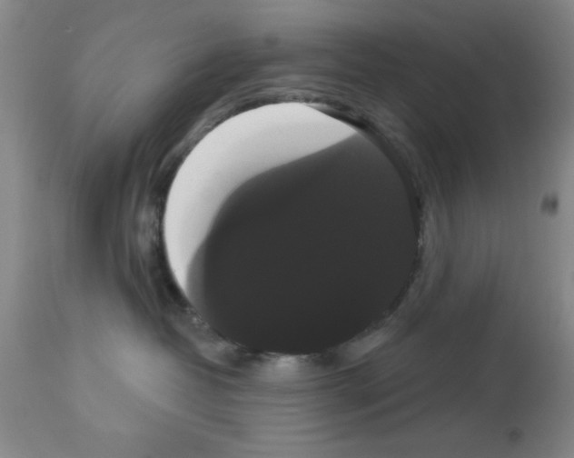 X0000113060382200910091149