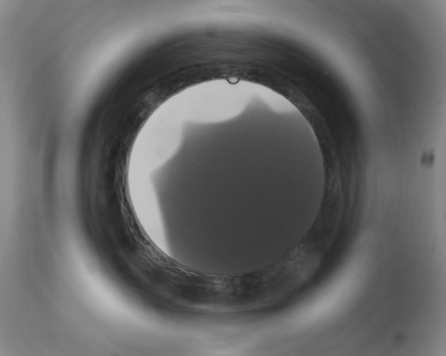 X0000113060383200910091149