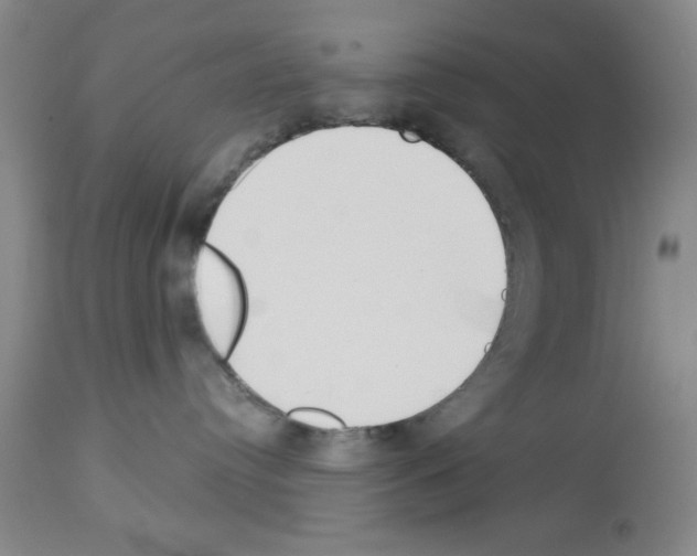 X0000113060384200910091149