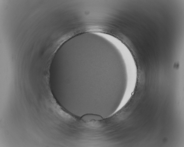 X0000113060385200910091149