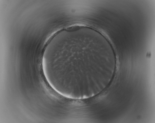 X0000113060386200910091149