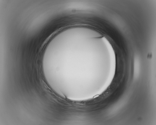 X0000113060387200910091149