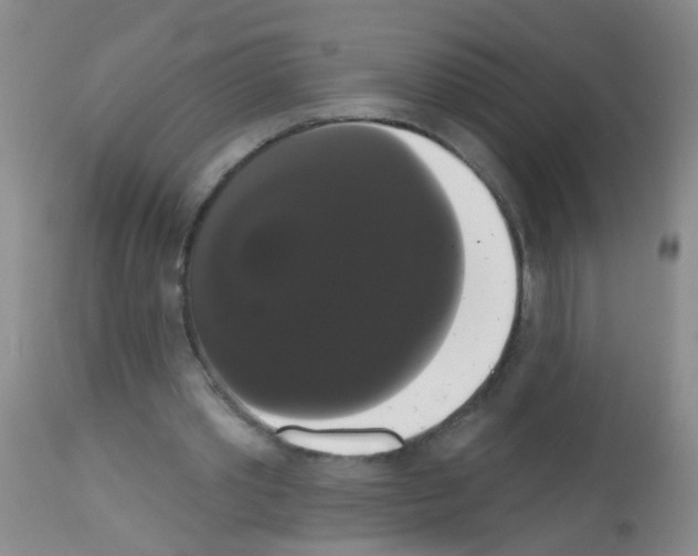 X0000113060389200910091149