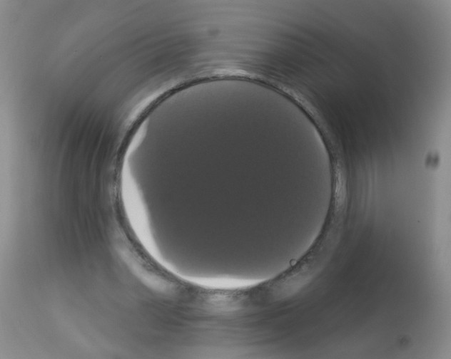 X0000113060390200910091148
