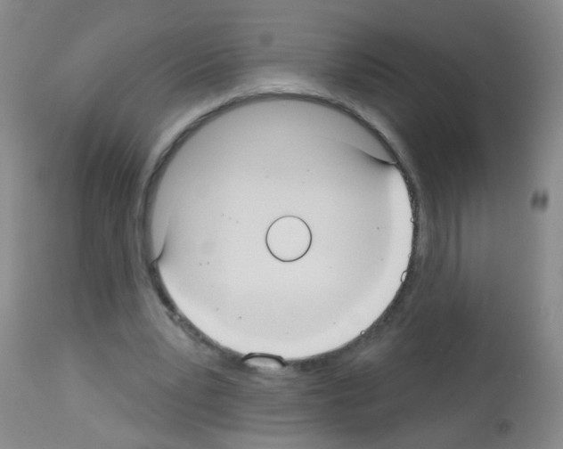 X0000113060391200910091148