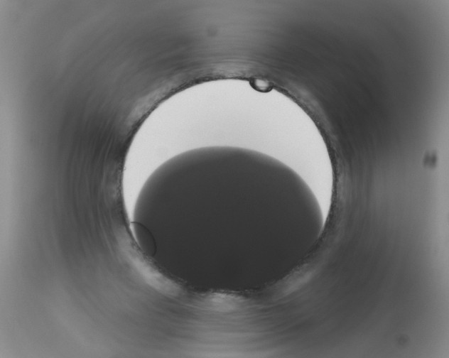 X0000113060393200910091148