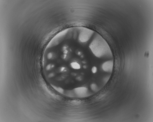 X0000113060394200910091148
