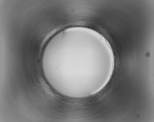 X0000113060395200910091148