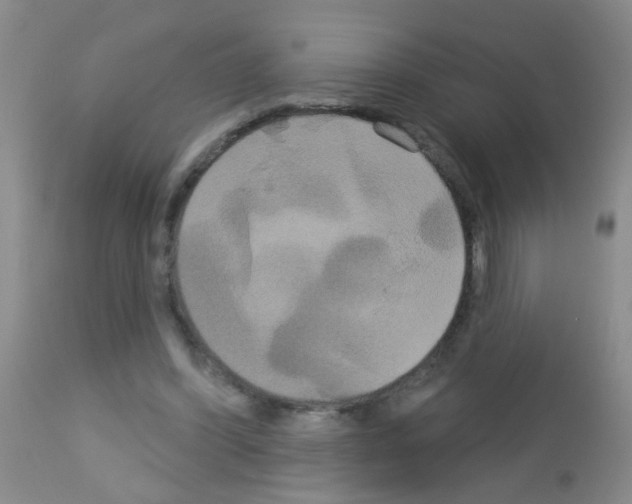 X0000113060396200910091148