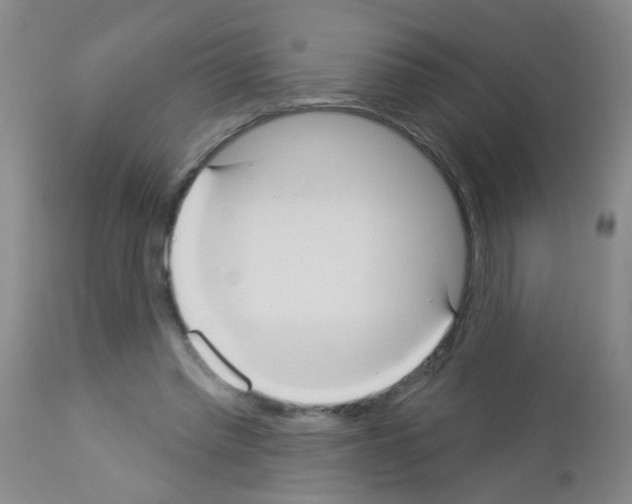 X0000113060397200910091148