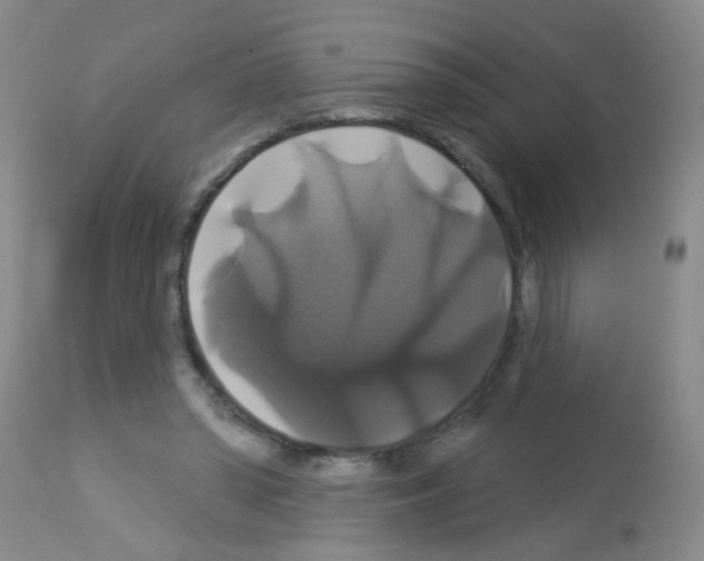 X0000113060398200910091148