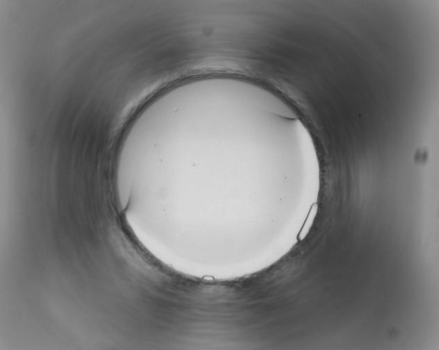 X0000113060399200910091148
