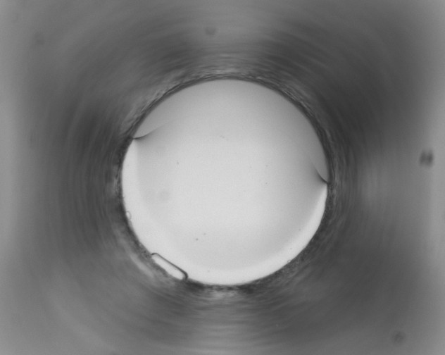 X0000113060401200910091148