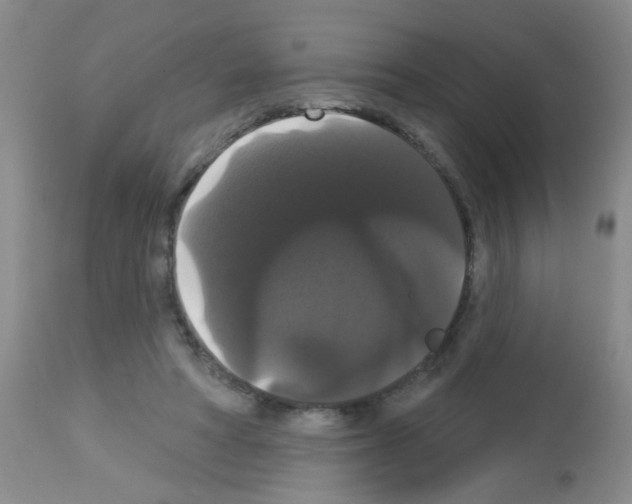 X0000113060402200910091148