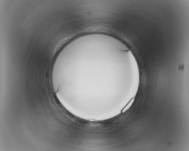 X0000113060403200910091148