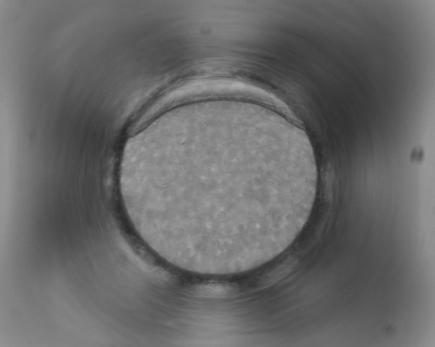 X0000113060404200910091148