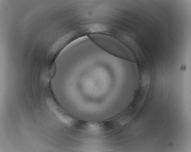 X0000113060405200910091148