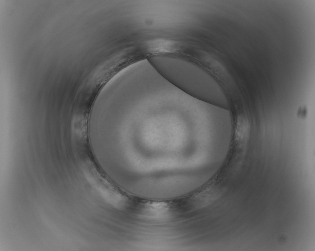 X0000113060409200910091148