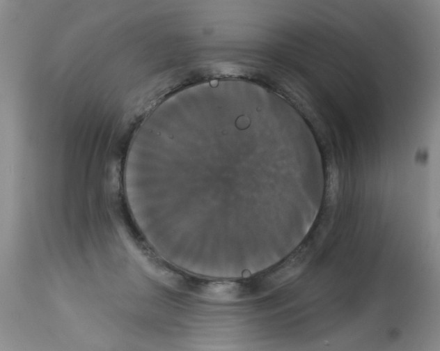 X0000113060410200910091148