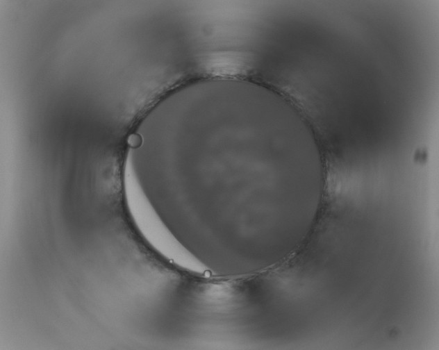 X0000113060411200910091148