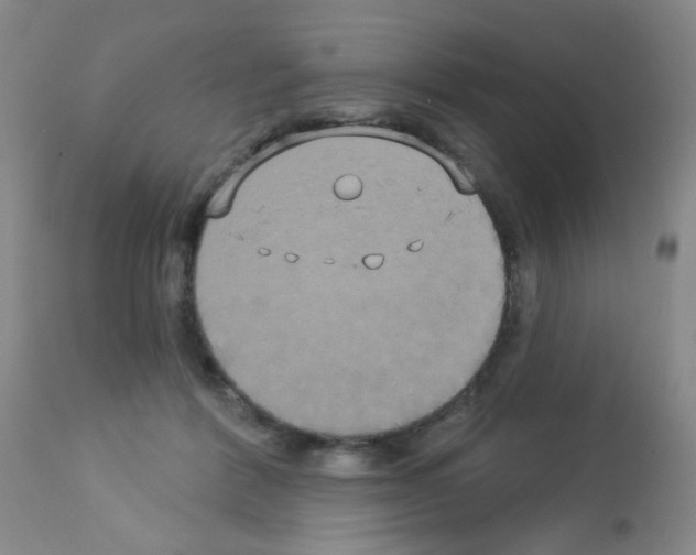 X0000113060412200910091148