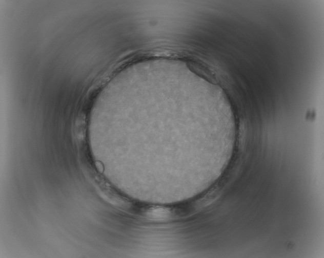 X0000113060413200910091148