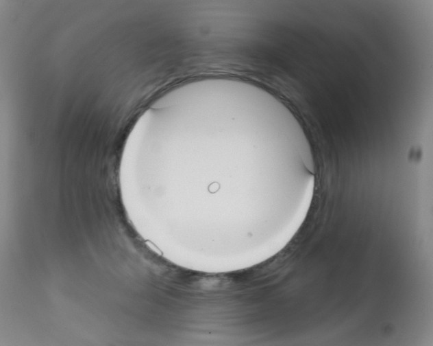X0000113060415200910091148