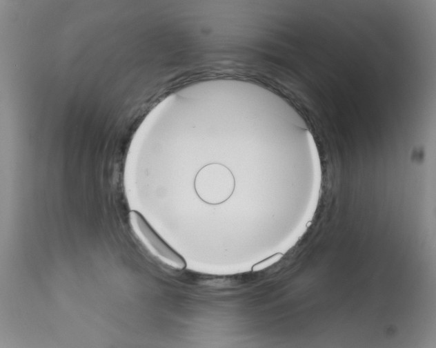 X0000113060417200910091148
