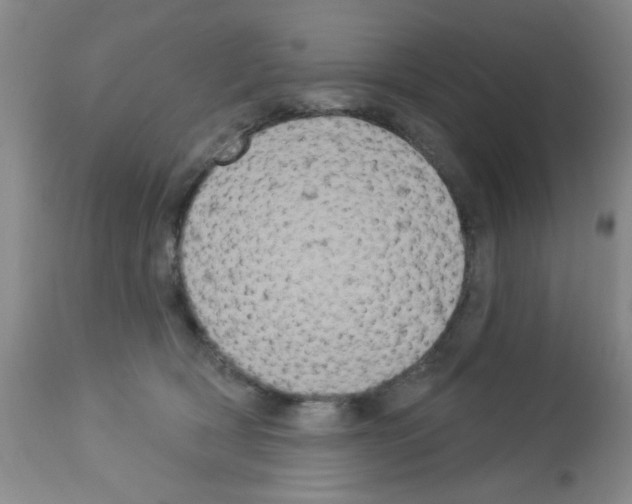 X0000113060418200910091148