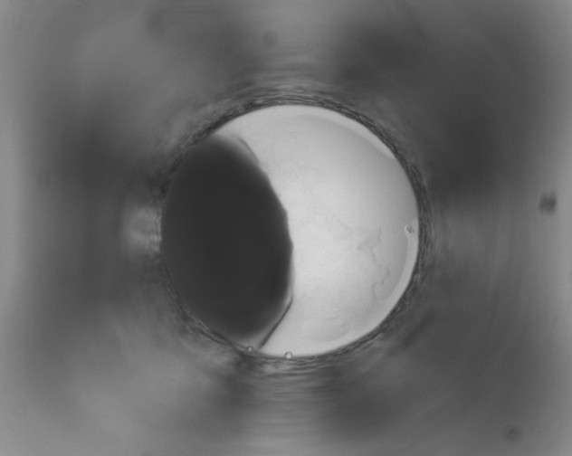X0000113060419200910091148