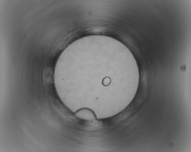 X0000113060421200910091148