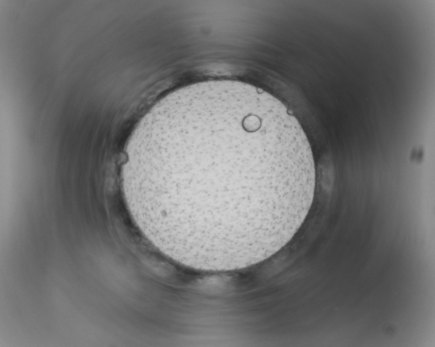 X0000113060422200910091148
