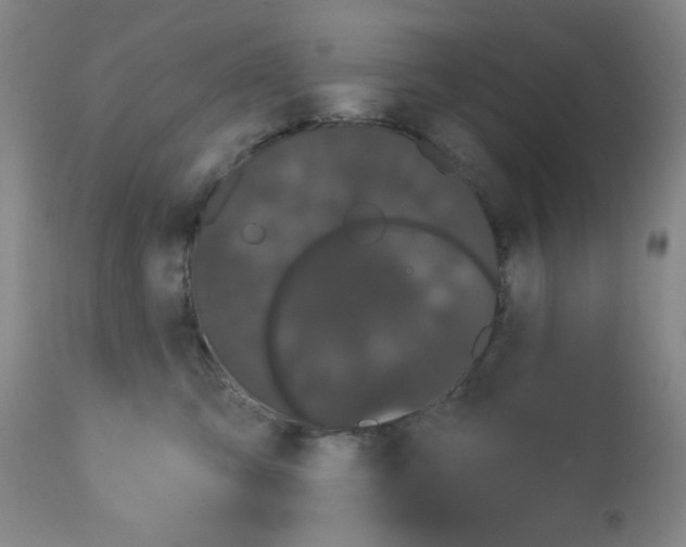 X0000113060423200910091148