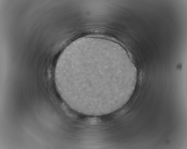 X0000113060424200910091148