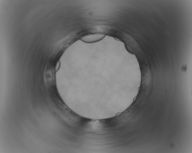 X0000113060425200910091148