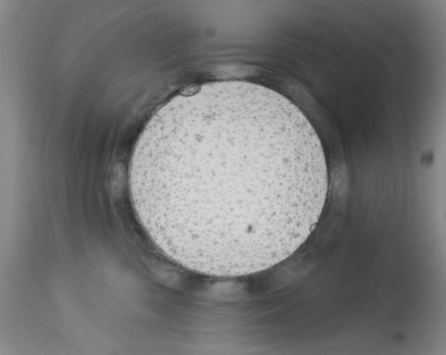 X0000113060426200910091148