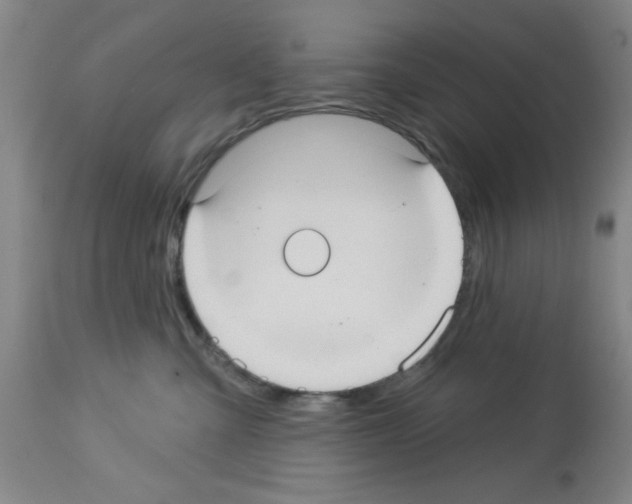 X0000113060427200910091148