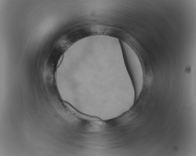 X0000113060429200910091148
