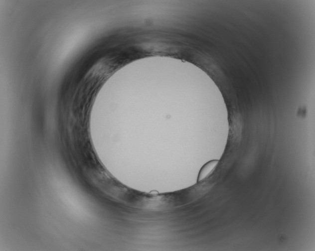 X0000113060430200910091148