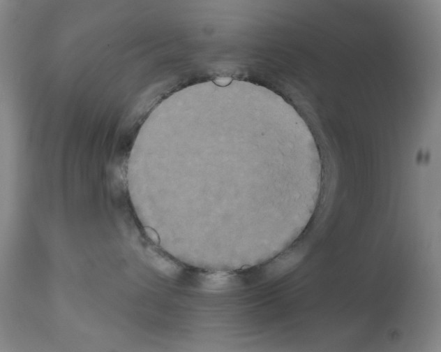 X0000113060432200910091148