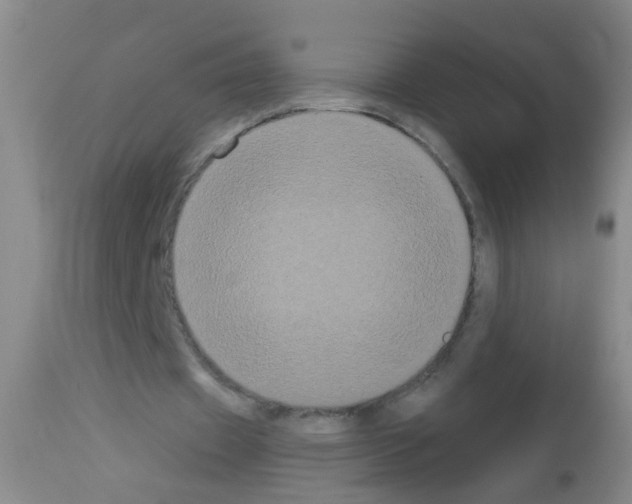 X0000113060433200910091147