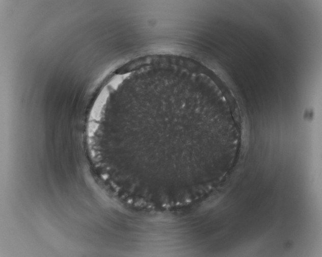 X0000113060434200910091147