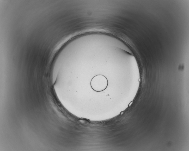 X0000113060436200910091147