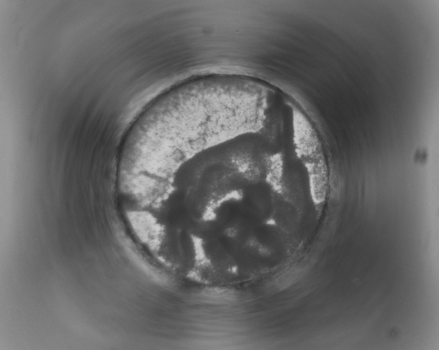 X0000113060437200910091147